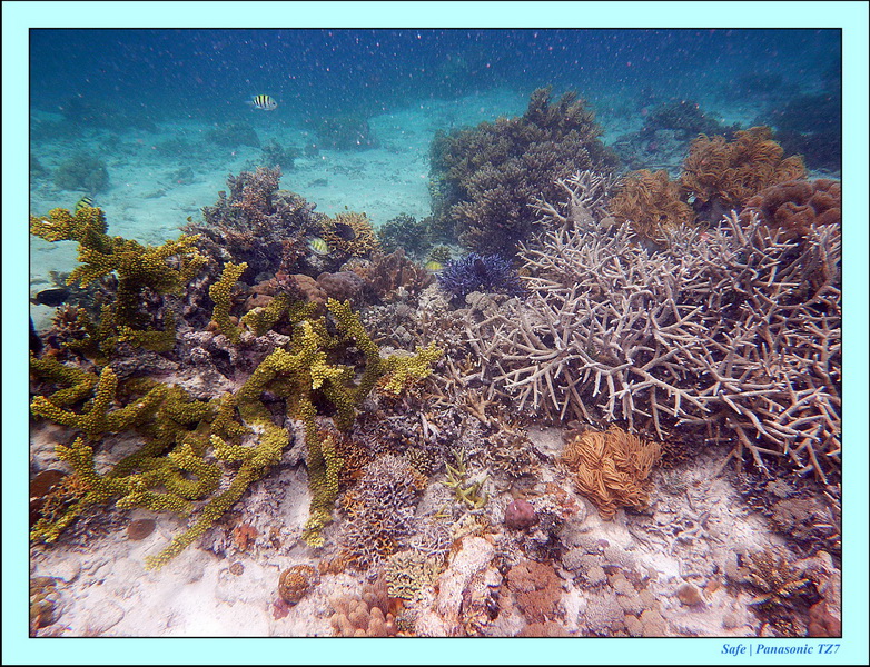 2011 - 08 - Bohey Dulang Island 27